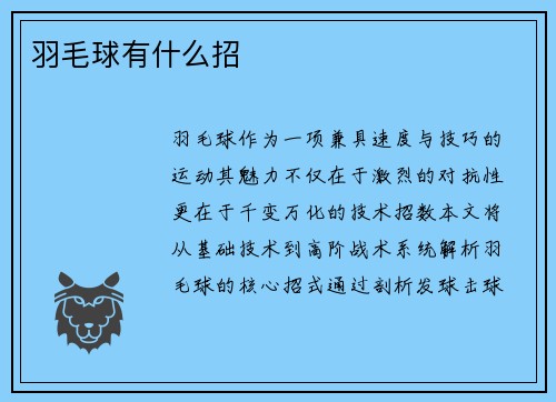 羽毛球有什么招