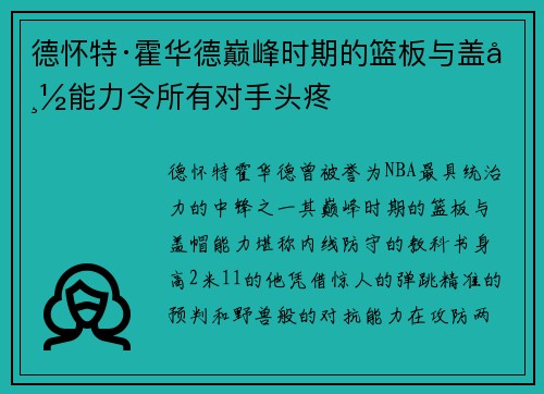 德怀特·霍华德巅峰时期的篮板与盖帽能力令所有对手头疼